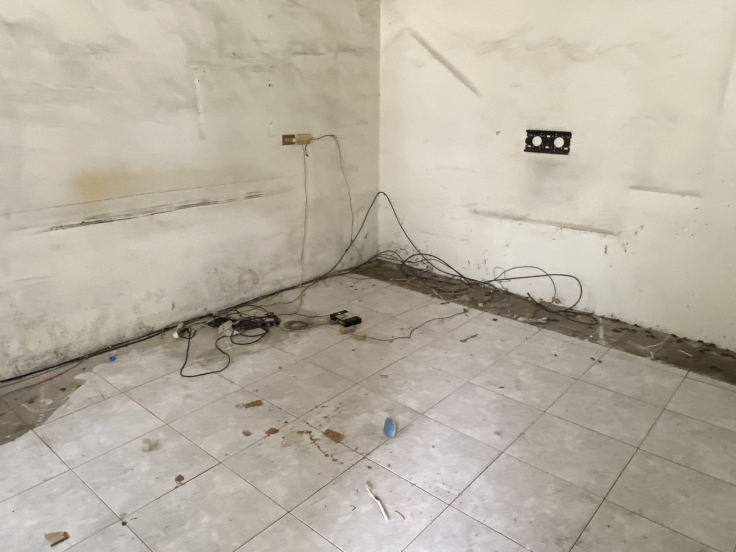 房屋淨空3(岡山廢棄物搬遷)