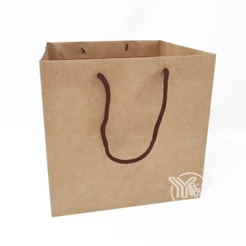 中平放牛皮紙袋