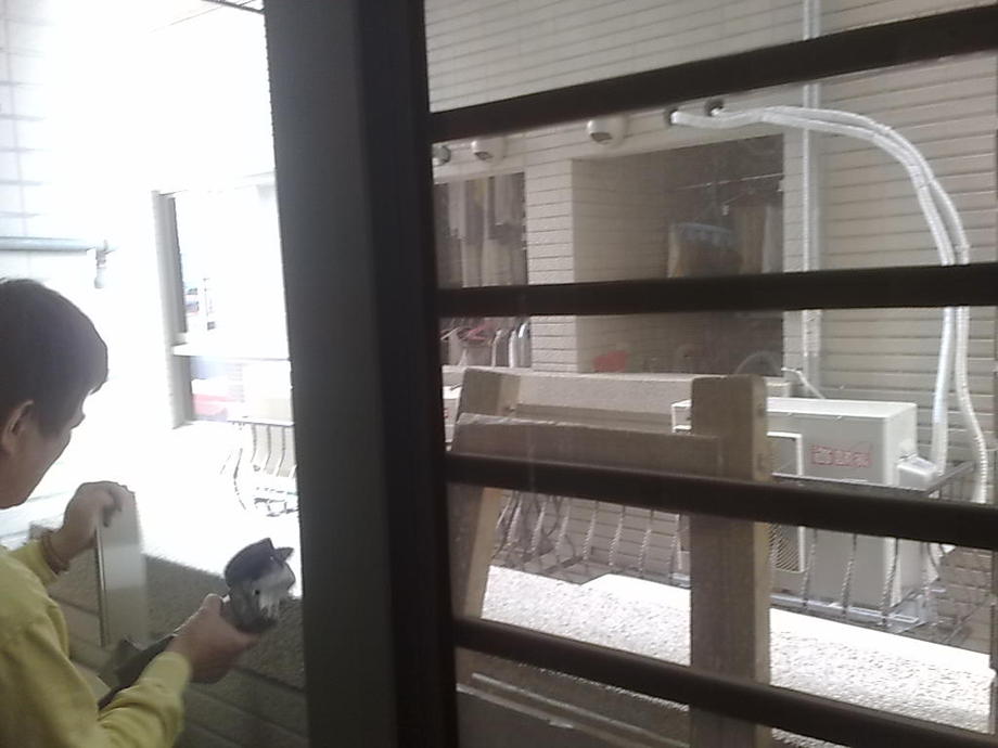 氣密窗施工-公園四季(粉香檳色)