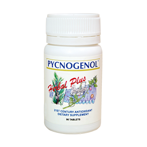 法國松樹皮草本錠