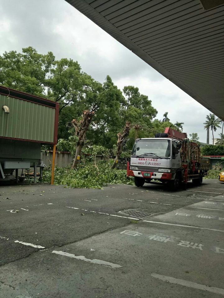本公司承接中華电信樹枝修剪之業務