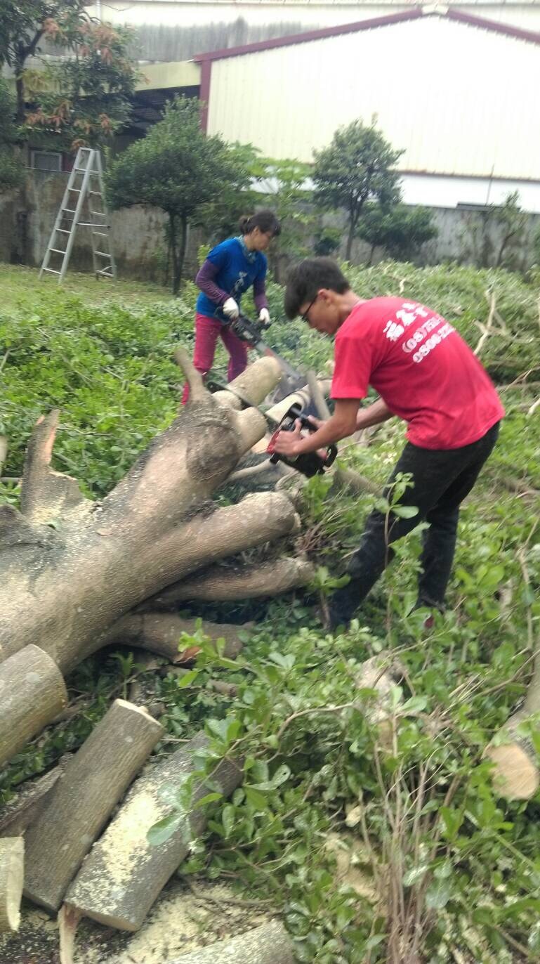 福鑫企業社-專業團隊樹木修剪