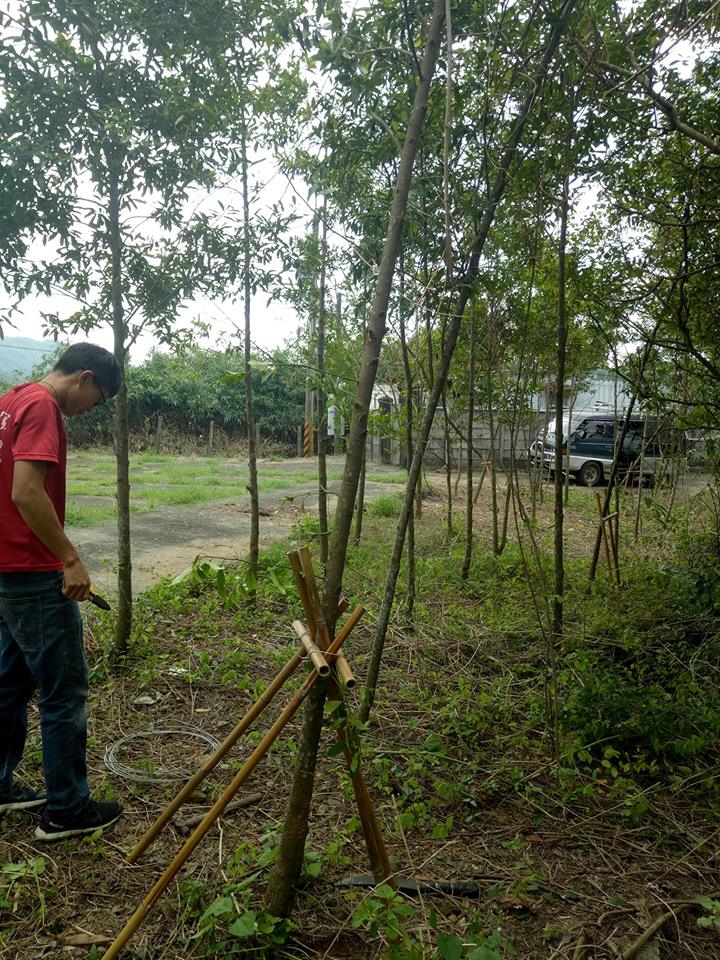 樹木植栽-售後服務雖然不在估價單估價範圍但本公司秉持著服務的精神也是來做售後服務
