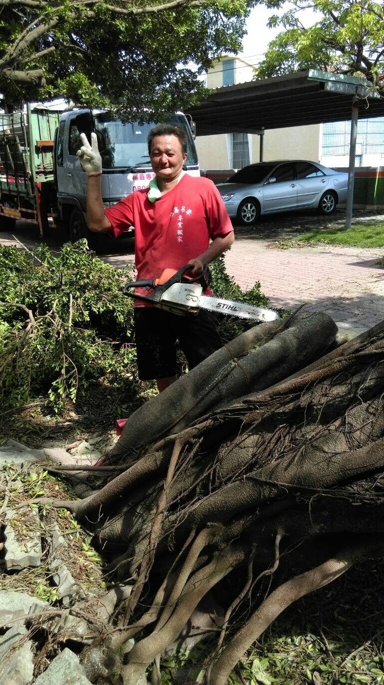 福鑫企業社-專業樹木修剪