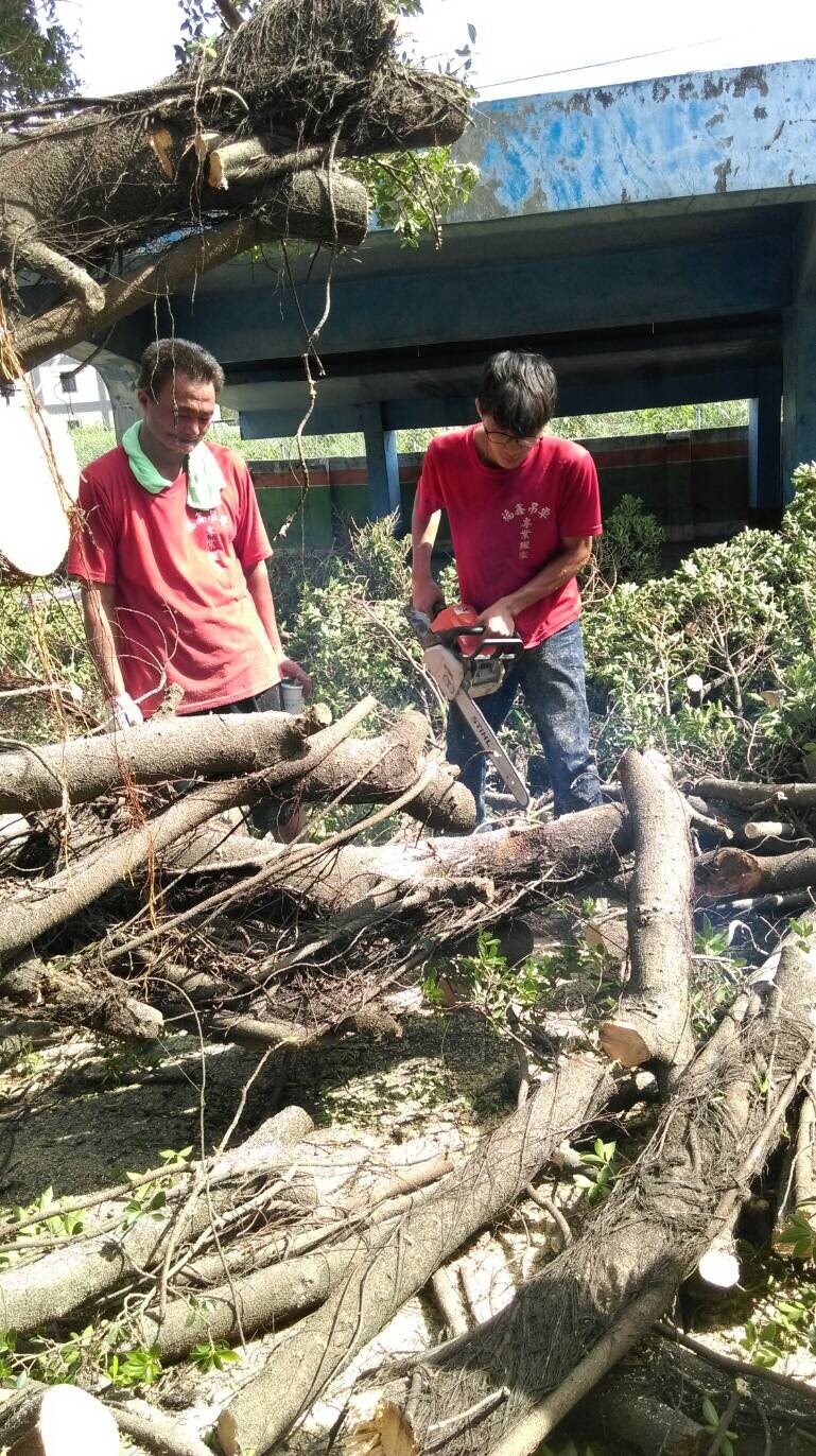 福鑫企業社-專業樹木修剪