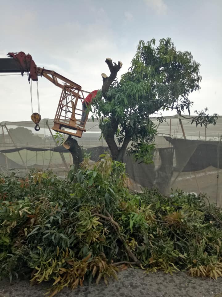 工程實績-崙頂社區