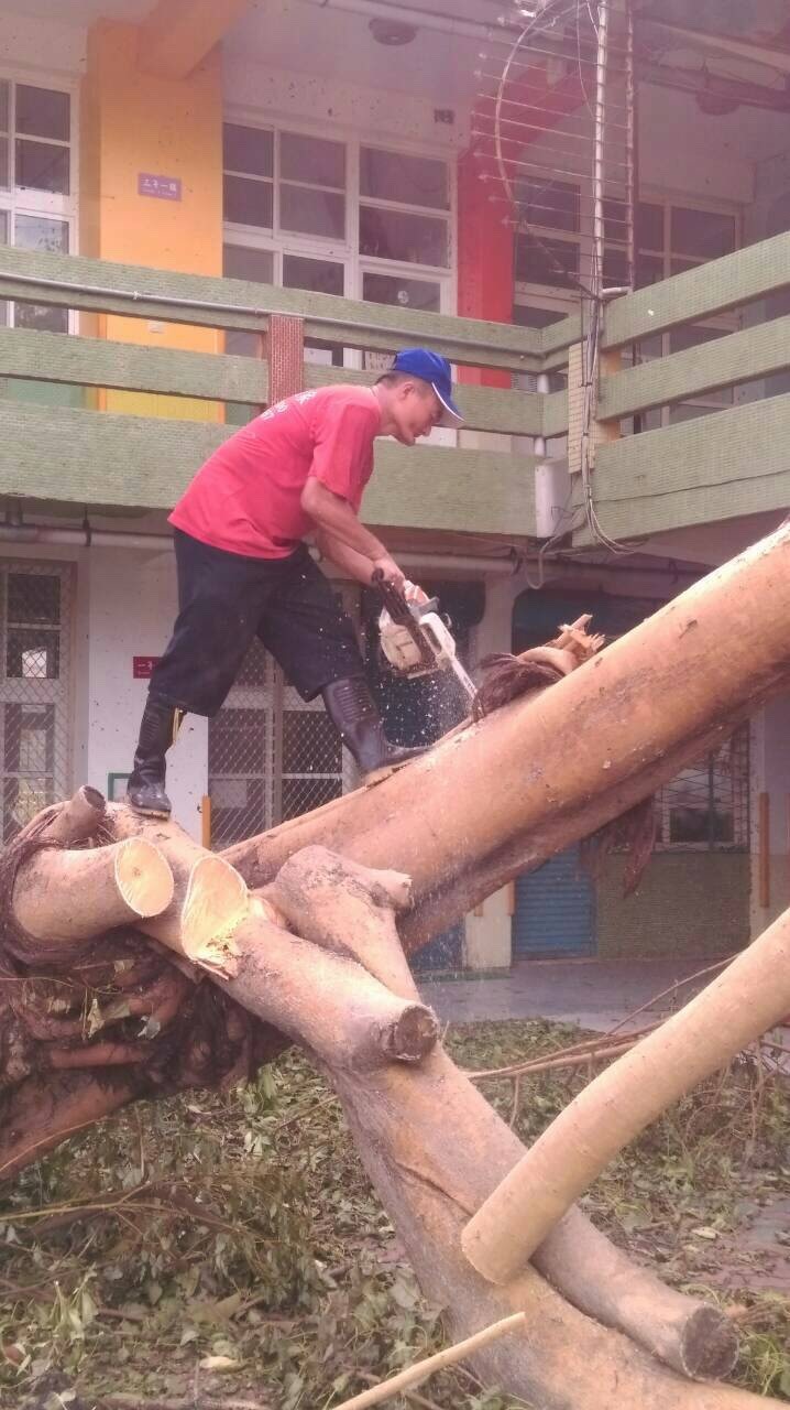 福鑫企業社-專業樹木修整