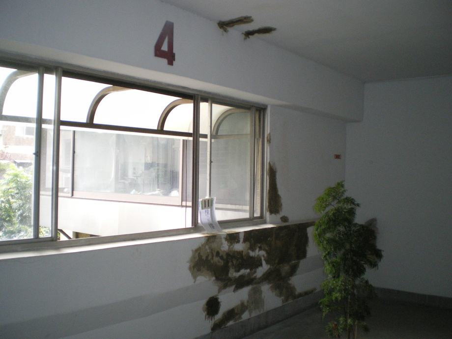 案例1-粉刷過程6