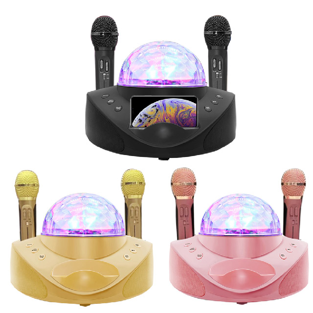 SD308舞台燈隻人K歌無線麥克風