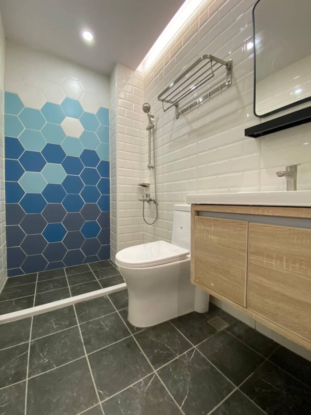 嘉大林森校區美透天