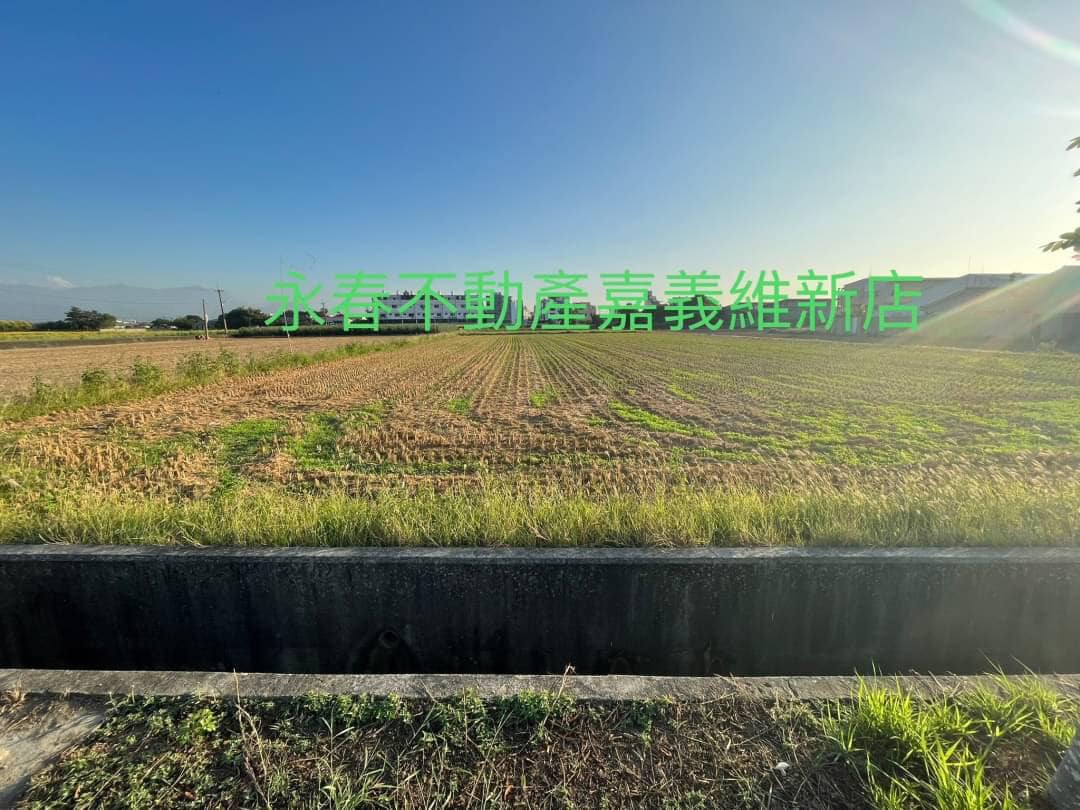 水上番子寮農地