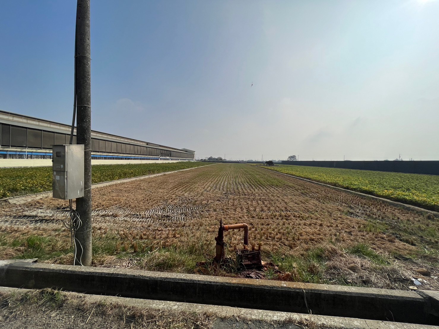 朴子優質俗農地