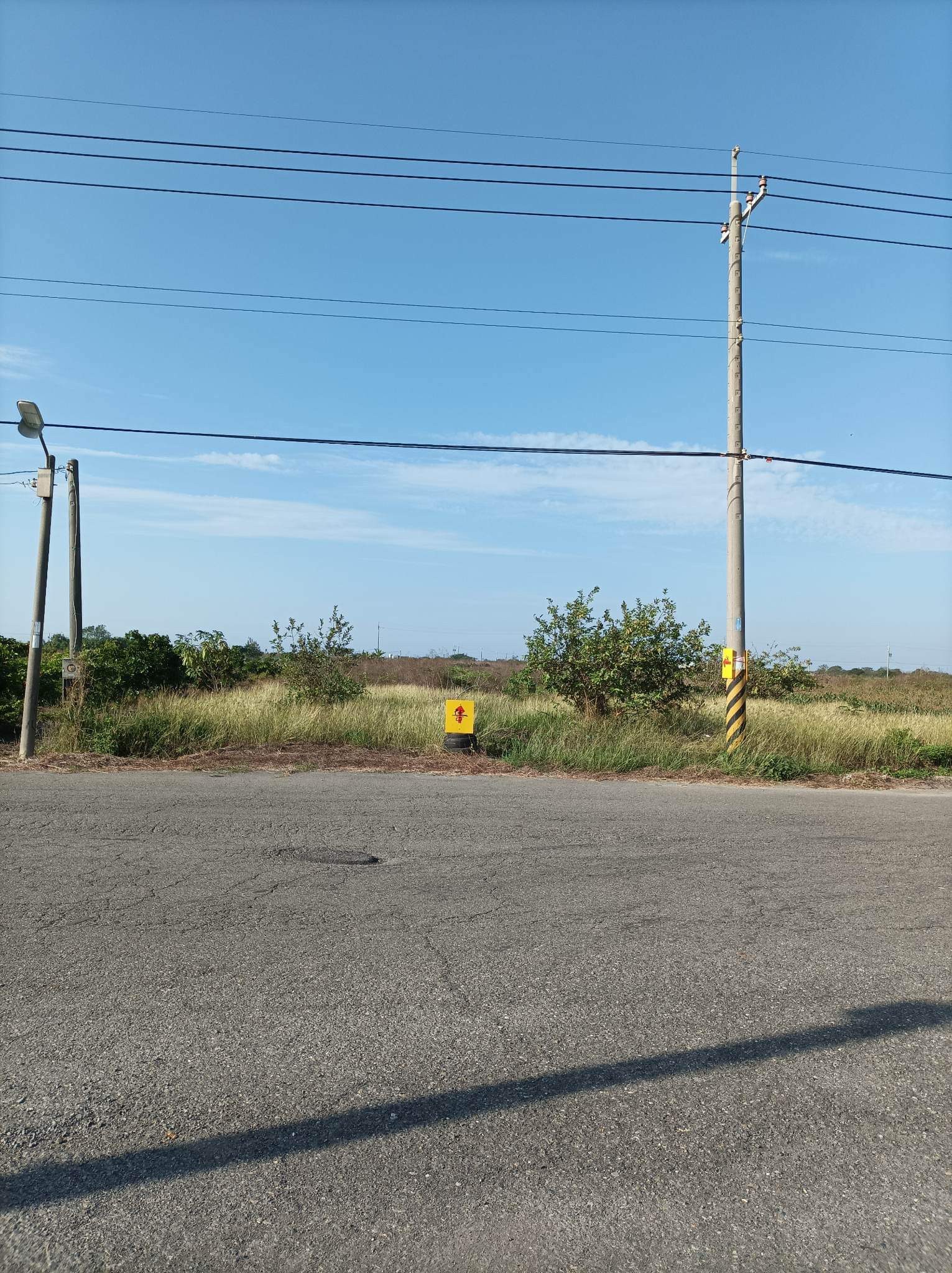 布袋20米路農地