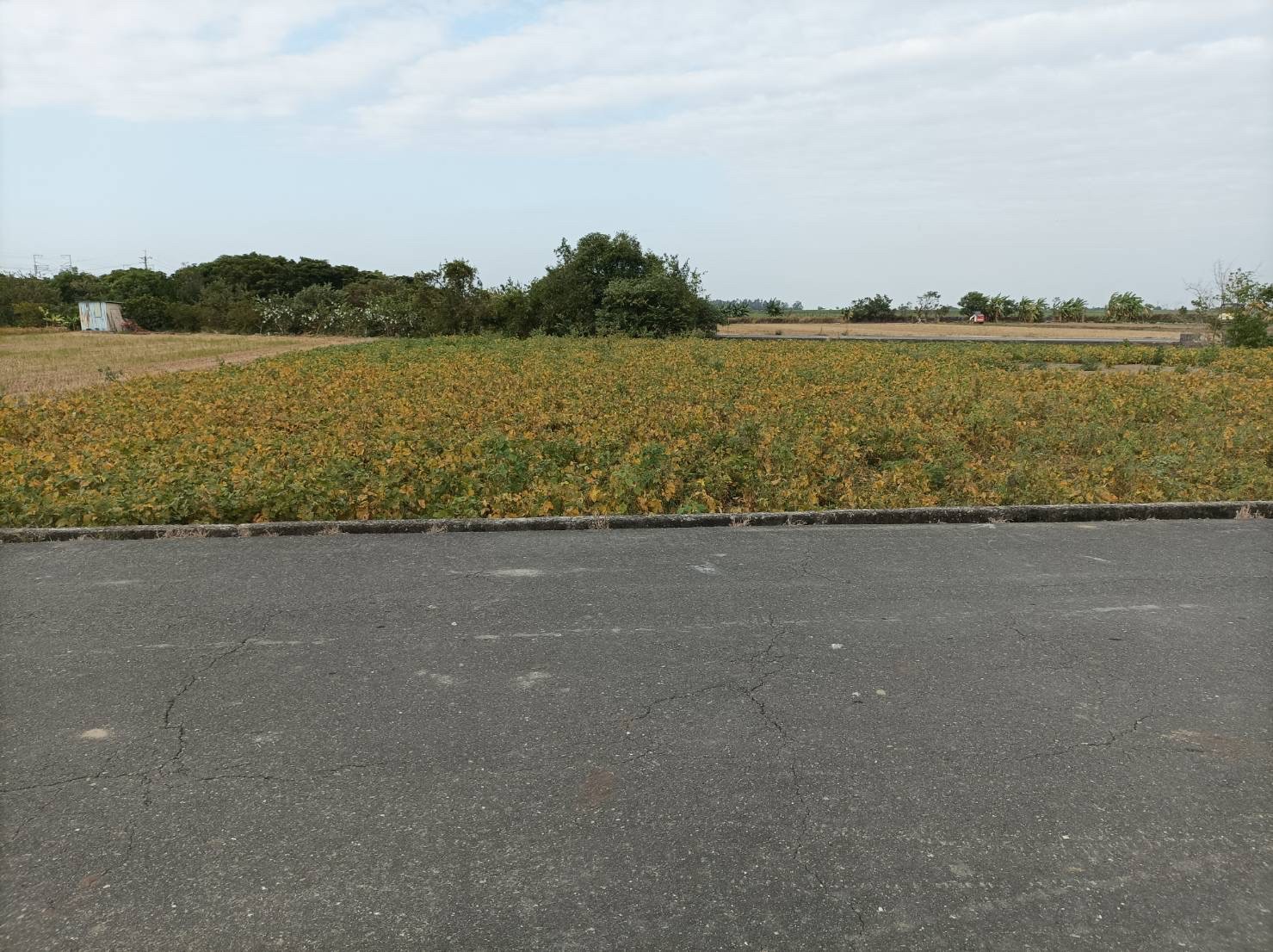 鹿草鹿環東路農地