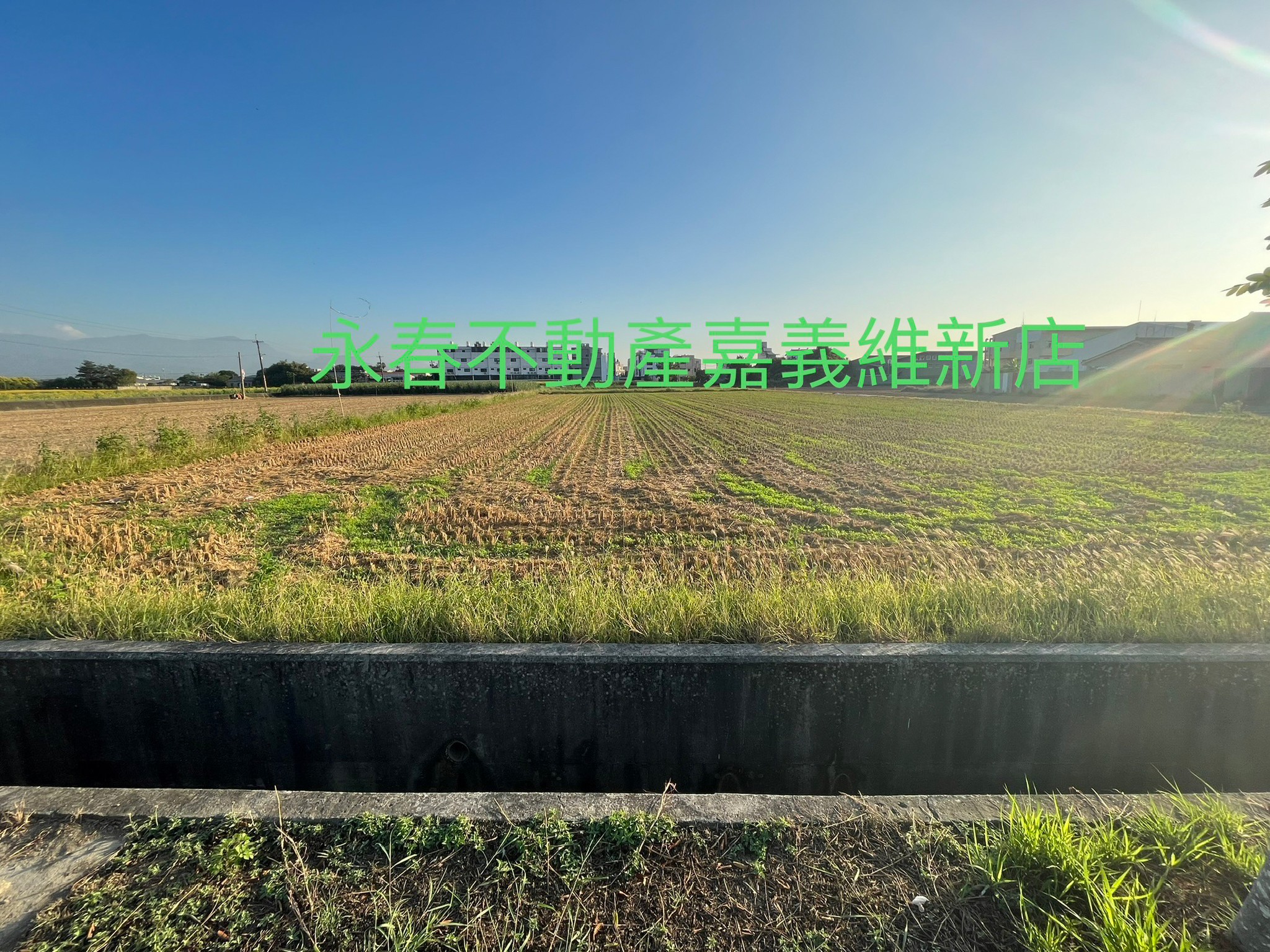 水上番子寮農地