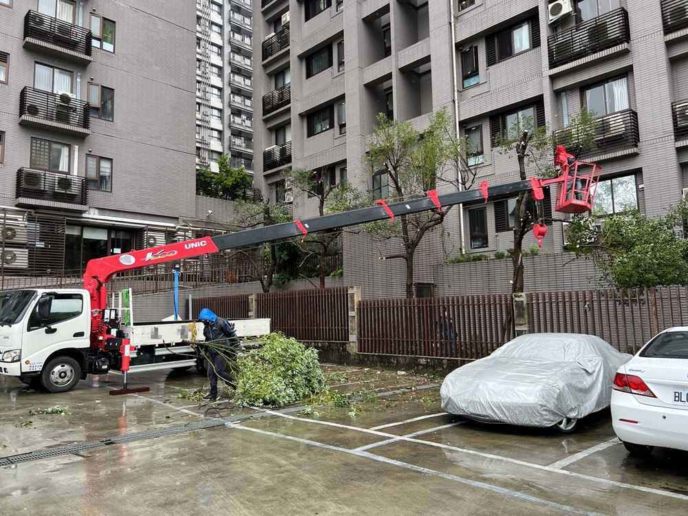 出動吊車-喬木修剪