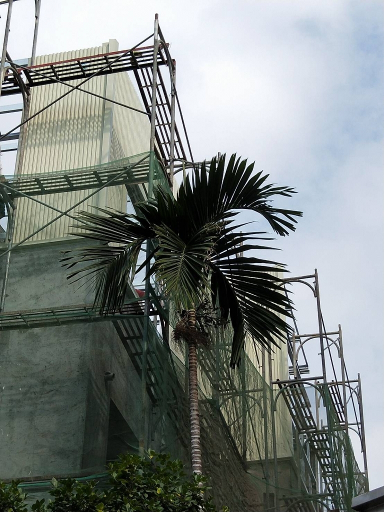 拆除&amp;水電&amp;泥作&amp;鐵厝工程