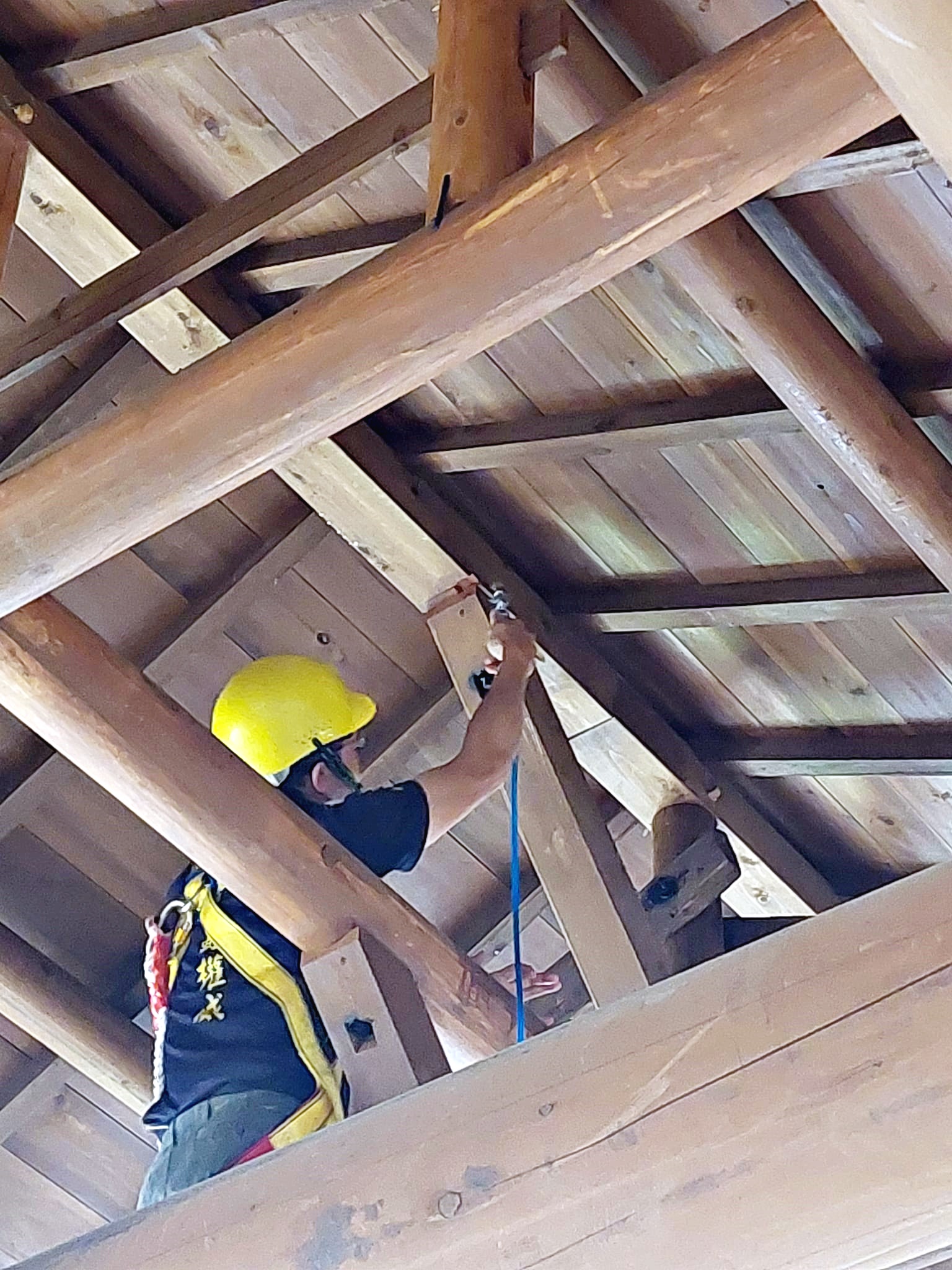 文化古蹟蟲蟻防治