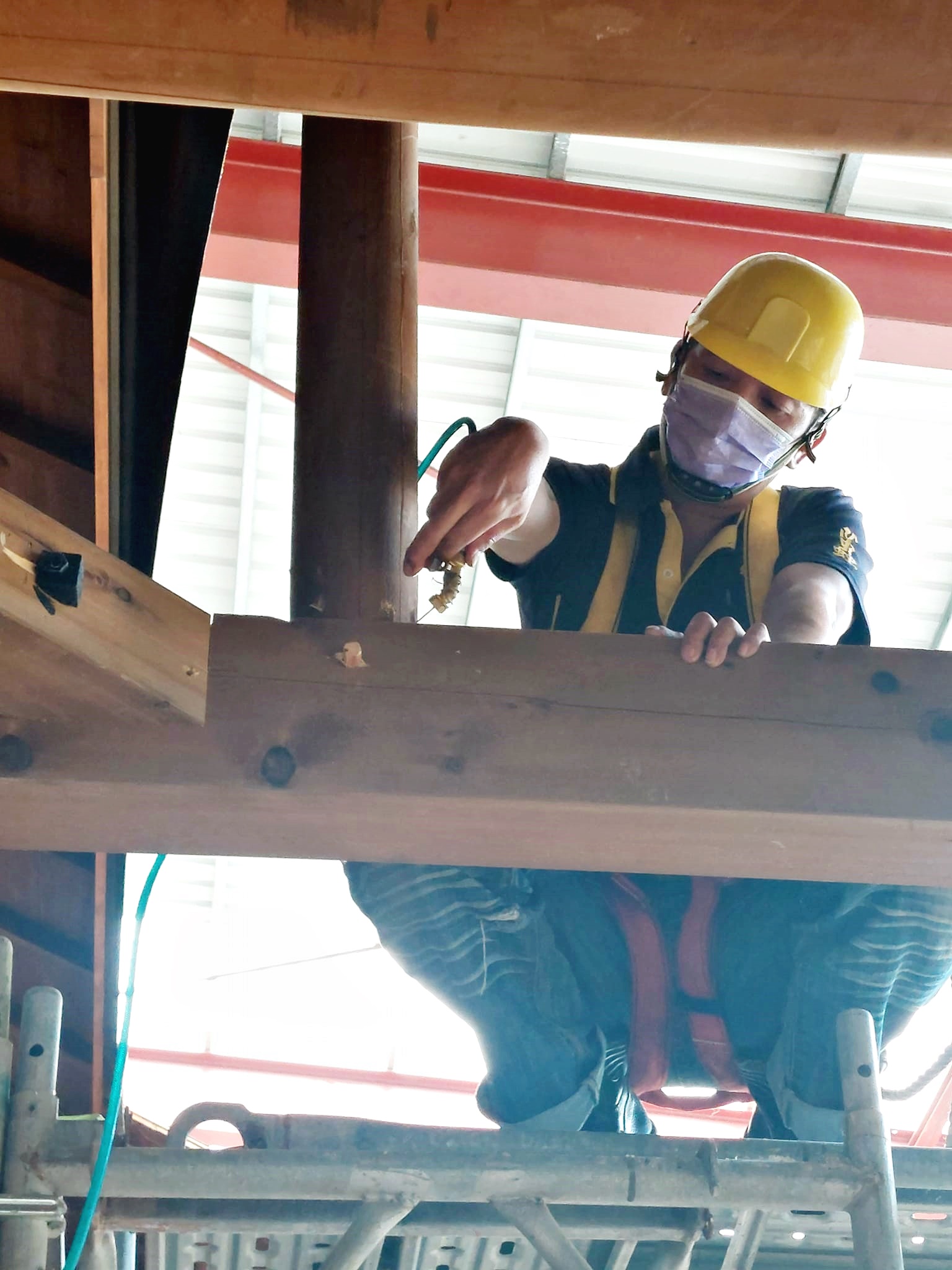 文化古蹟蟲蟻防治