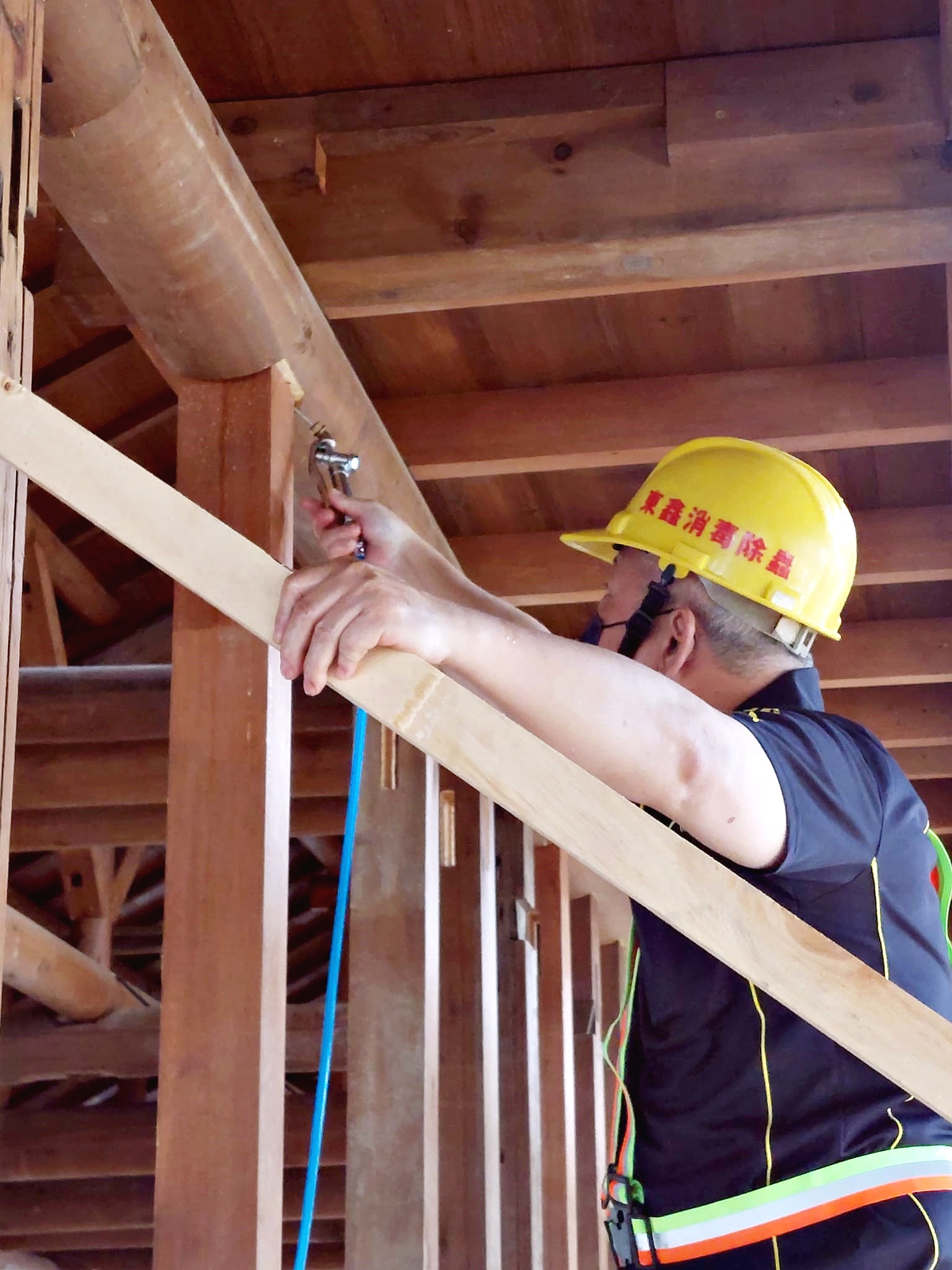 文化古蹟蟲蟻防治