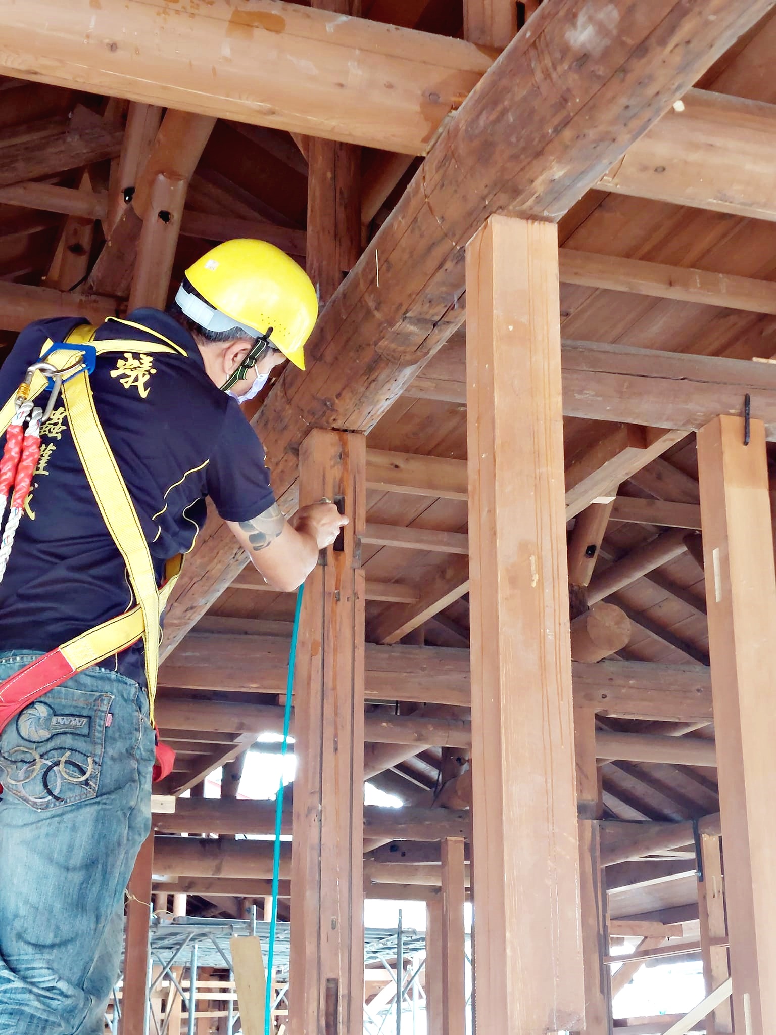 文化古蹟蟲蟻防治