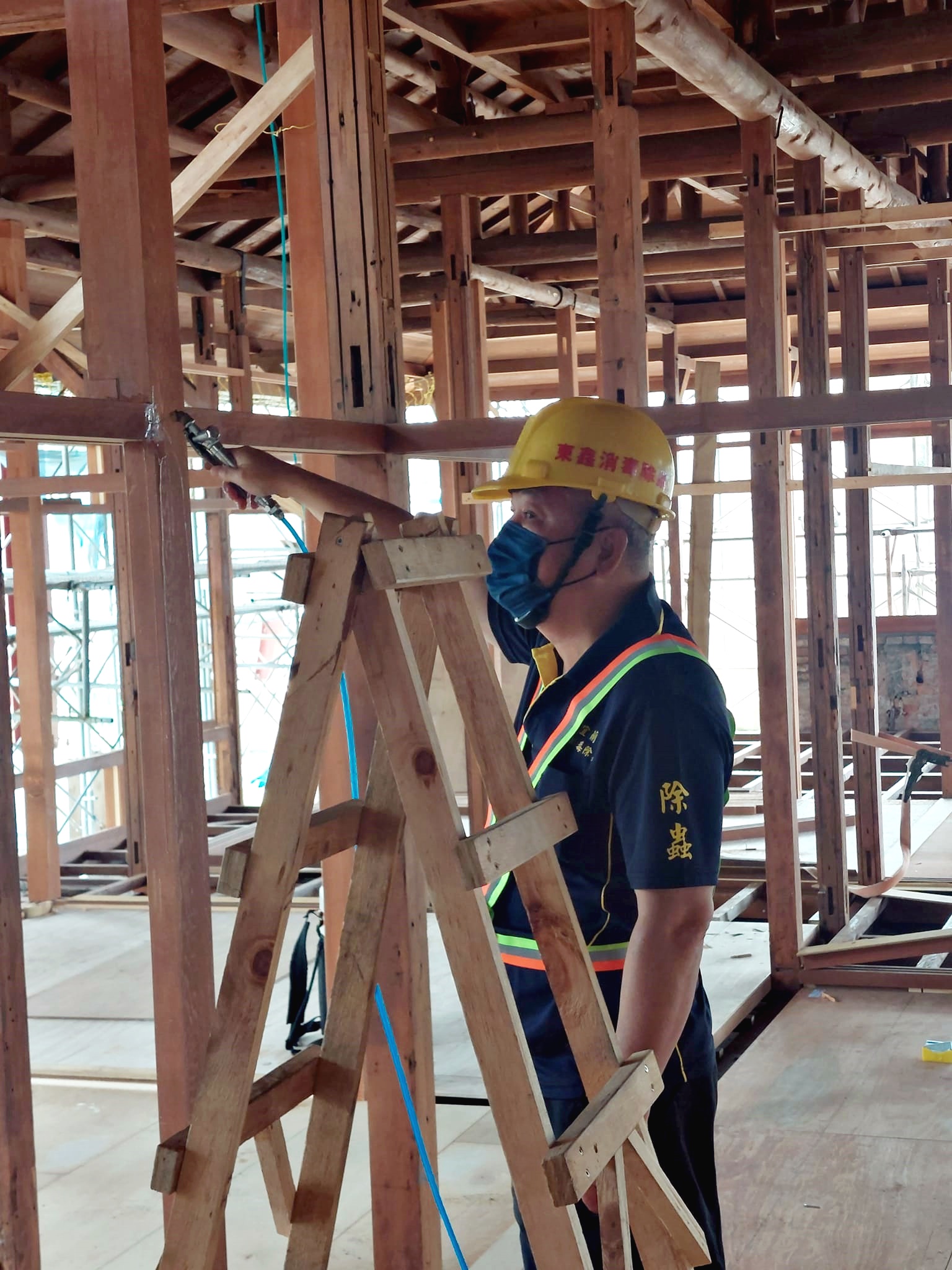 文化古蹟蟲蟻防治