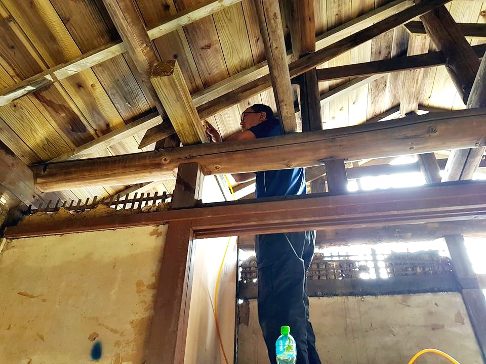 日式建築白蟻防治