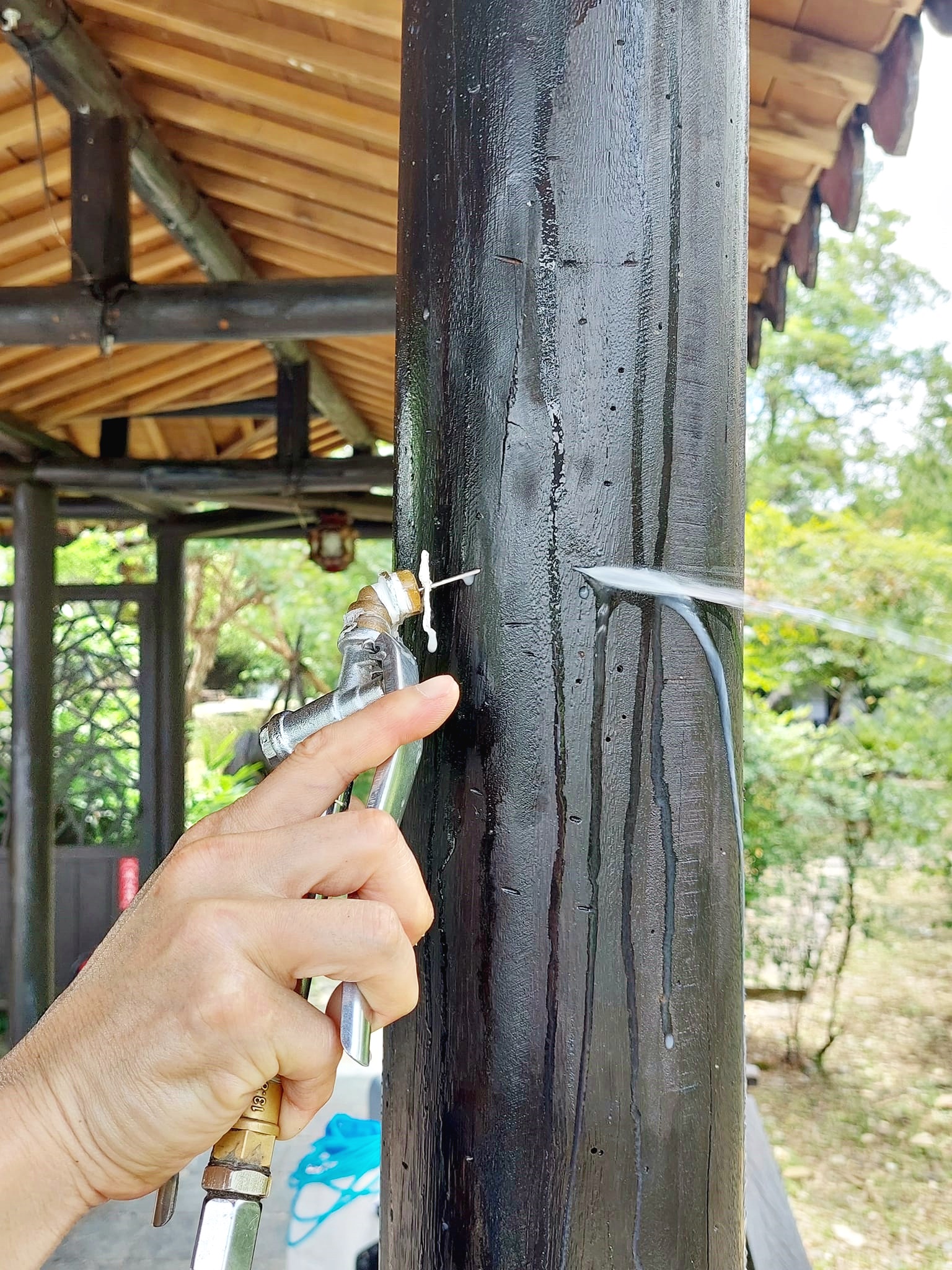 艾園唐式迴廊蟲害蛀蟲防治
