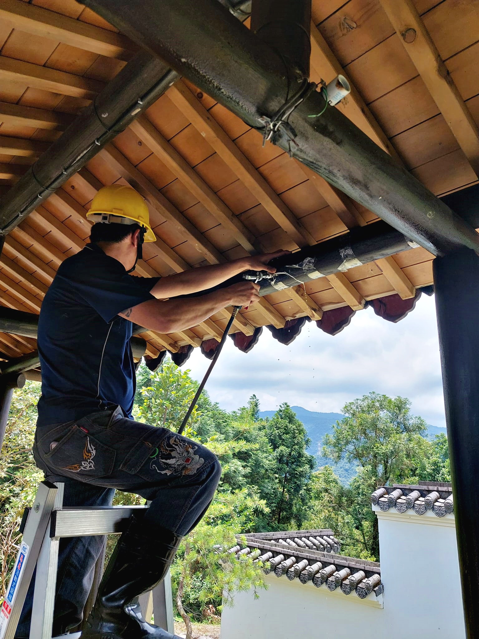 艾園唐式迴廊蟲害蛀蟲防治