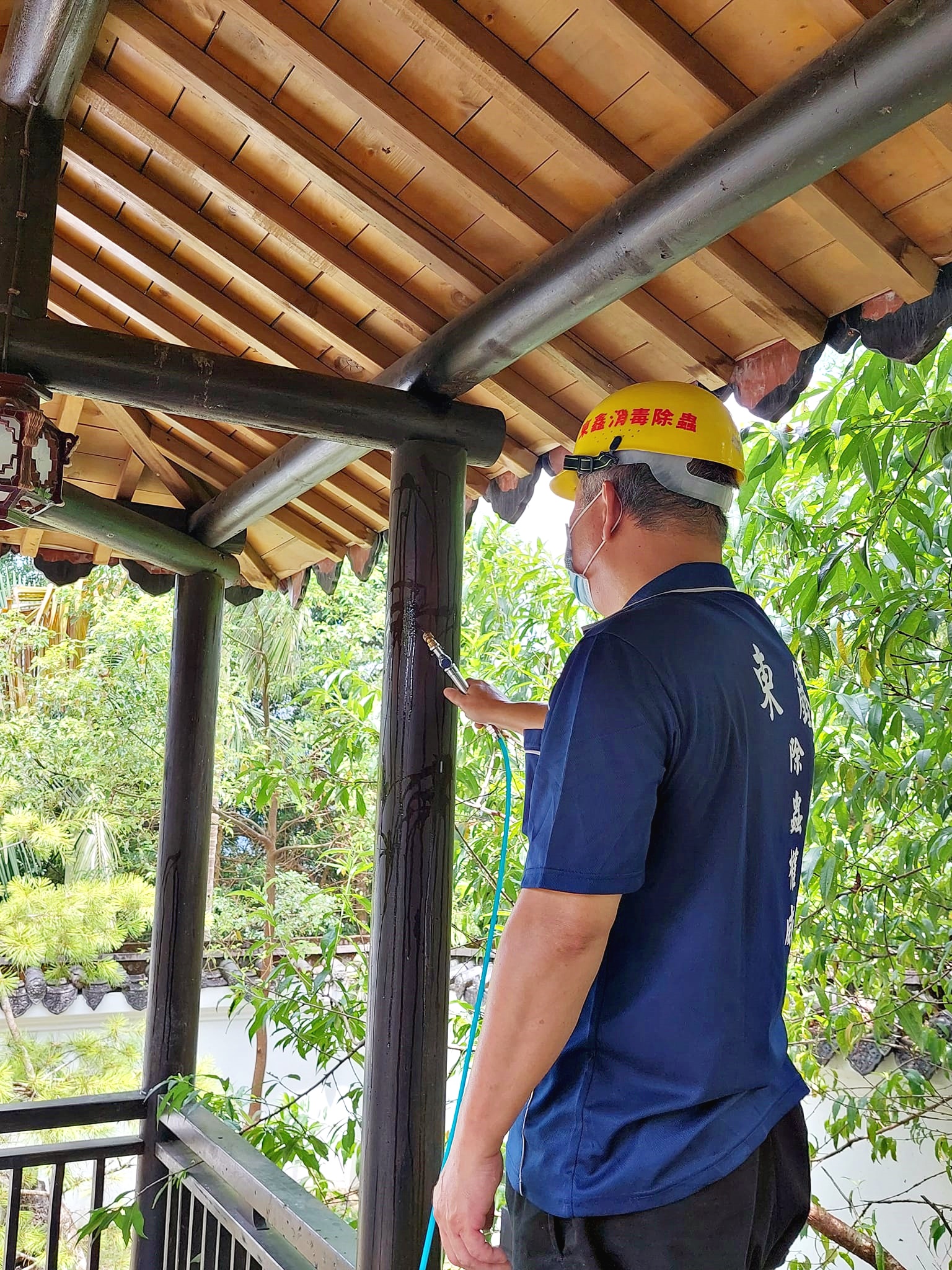 艾園唐式迴廊蟲害蛀蟲防治