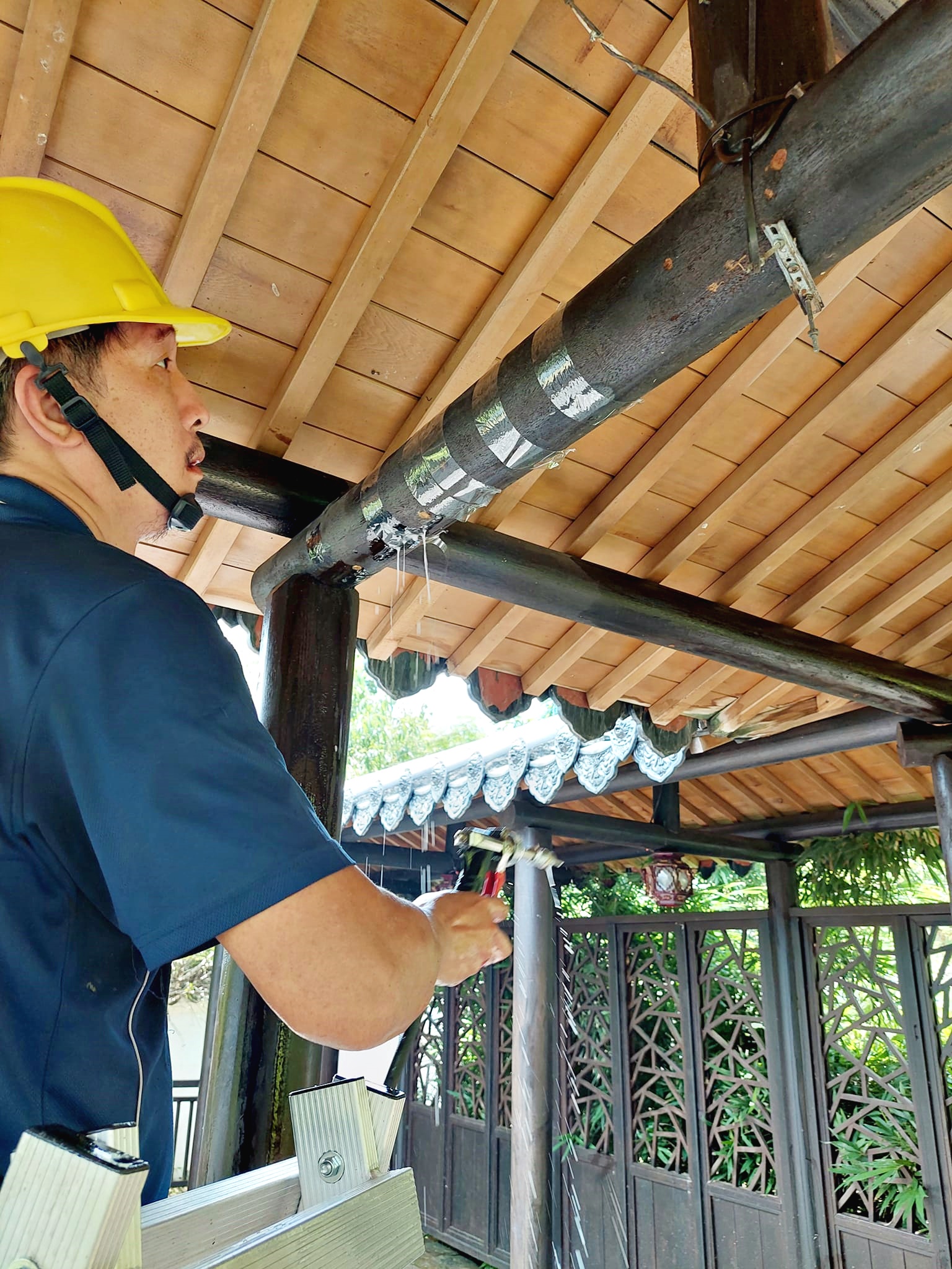 艾園唐式迴廊蟲害蛀蟲防治