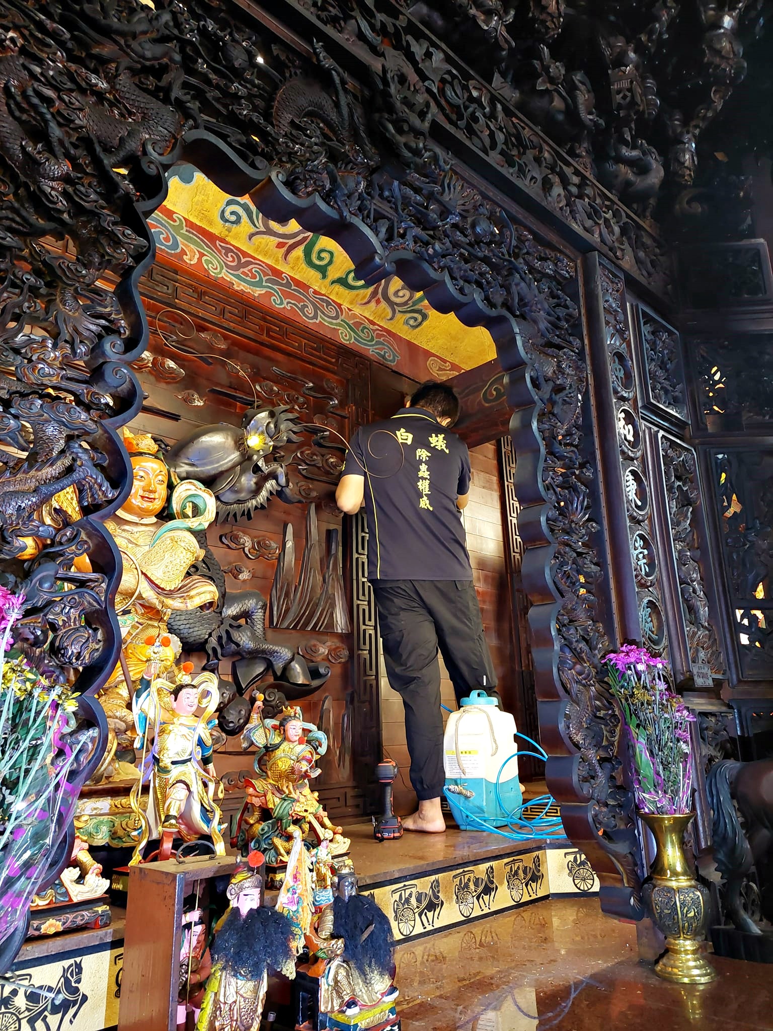 大型廟宇白蟻防治