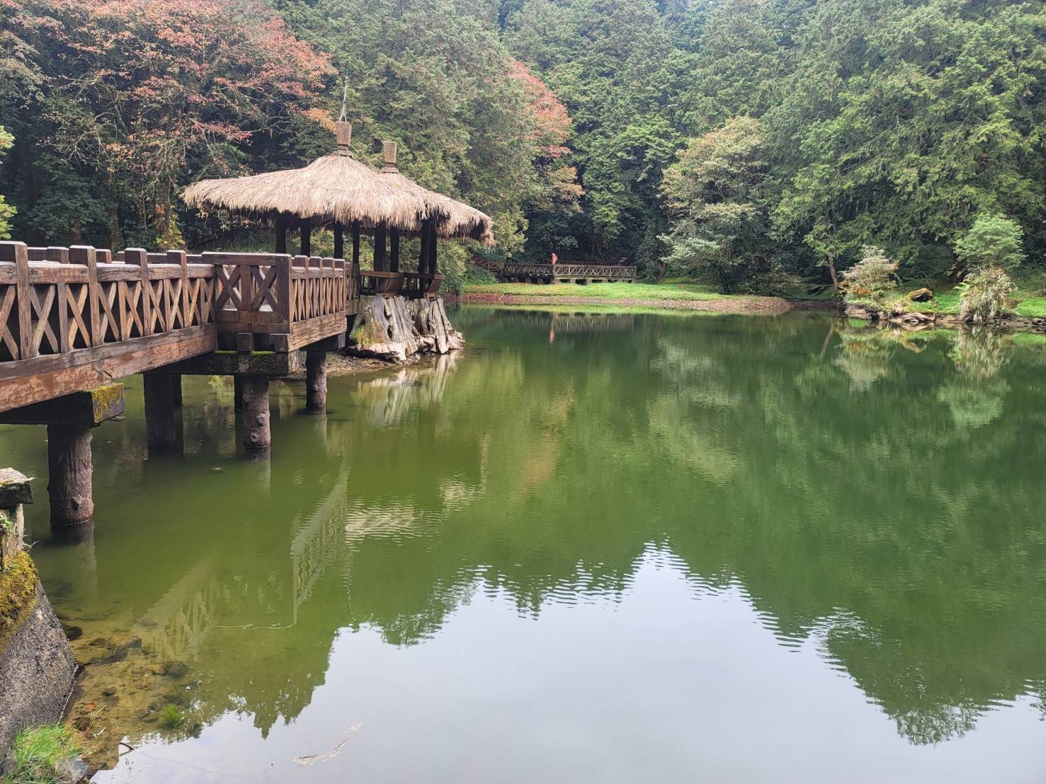 阿里山旅遊包車