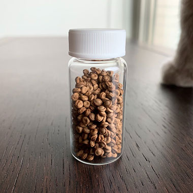 天然植物纖維製品