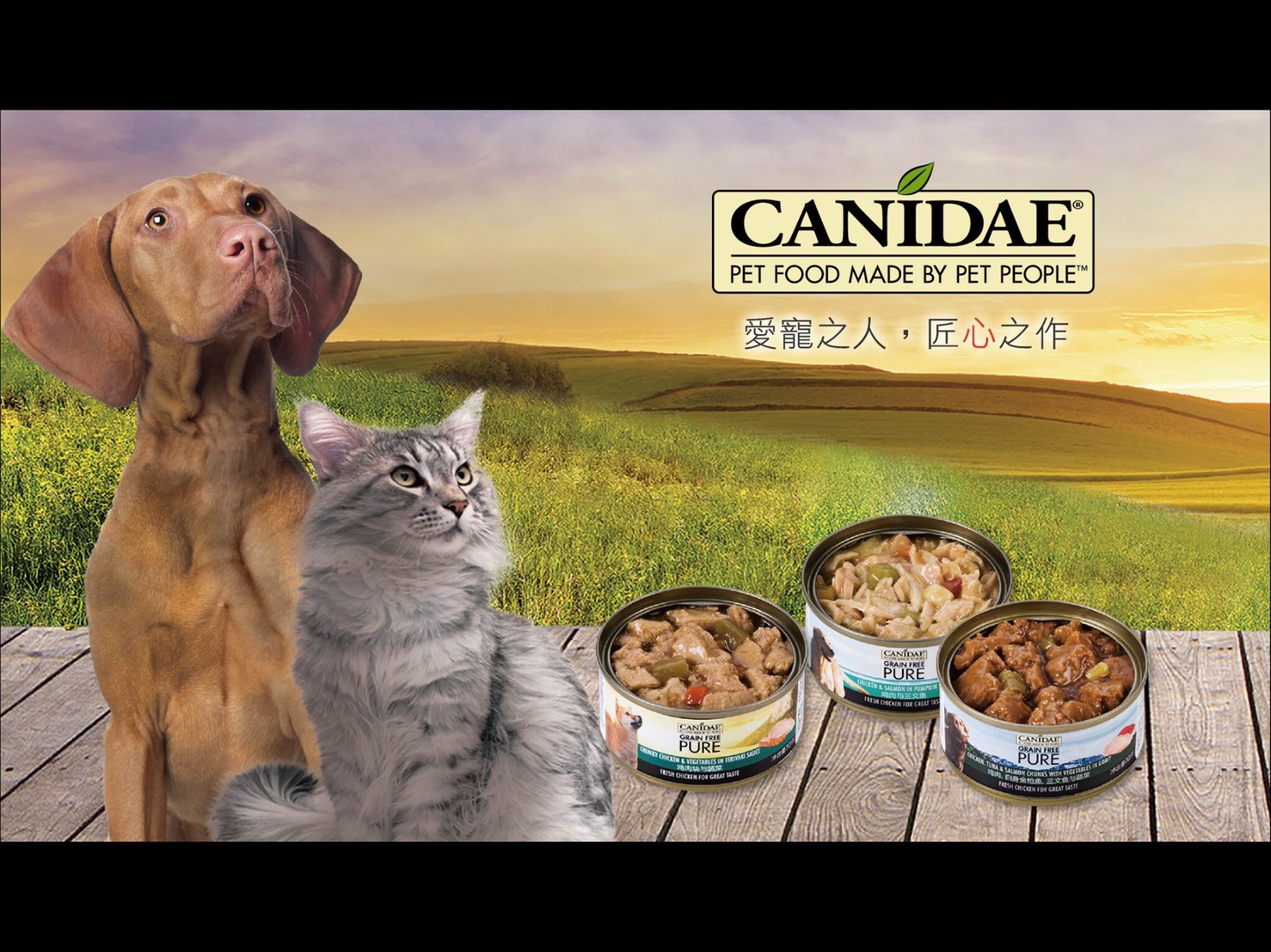 美國Canidae主食罐(狗)