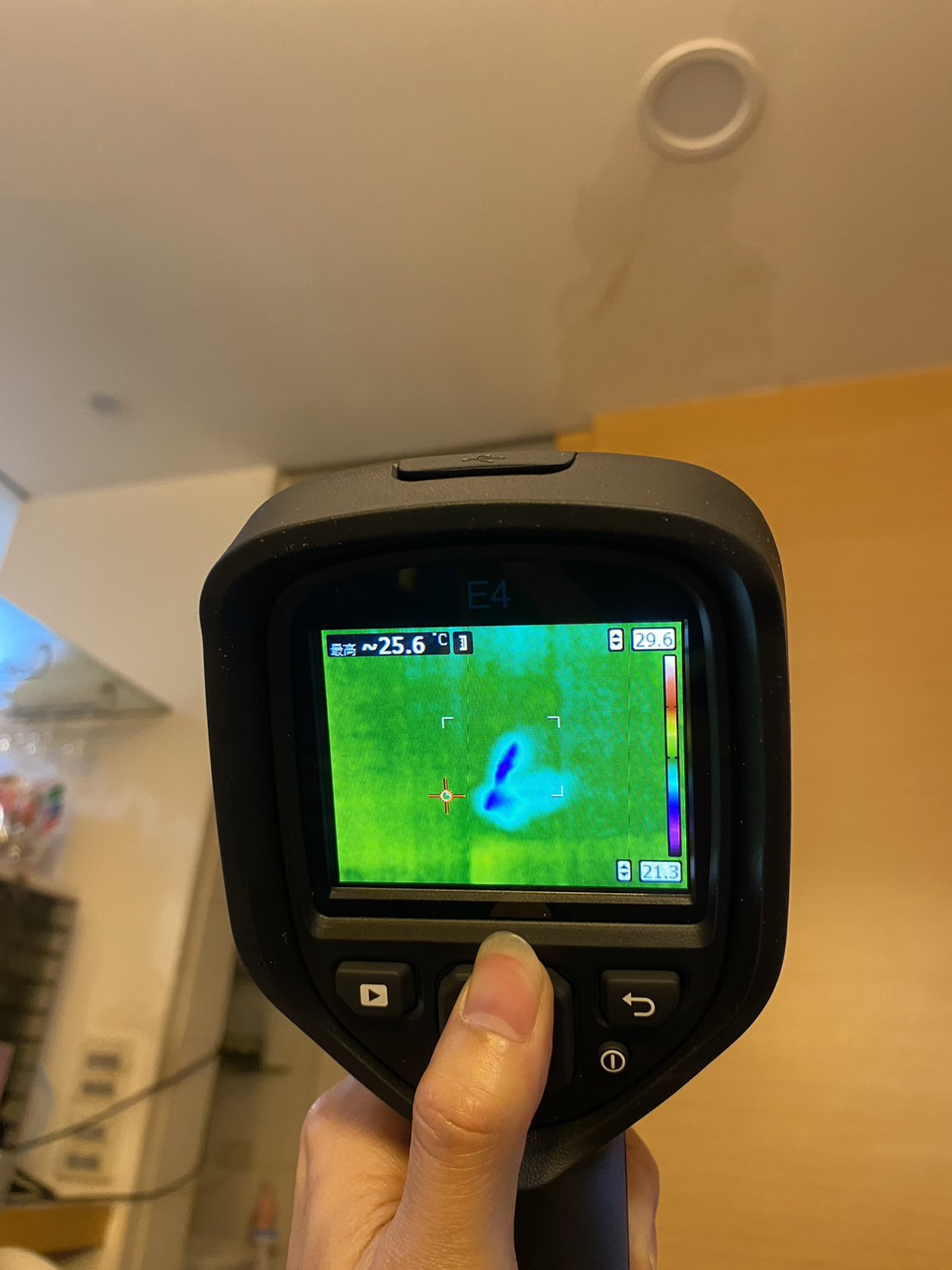 紅外線熱顯像樣檢測