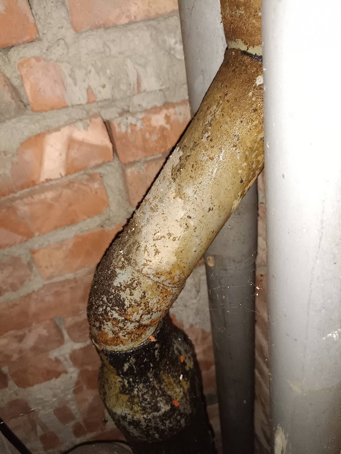 管道間排水管內視鏡查漏