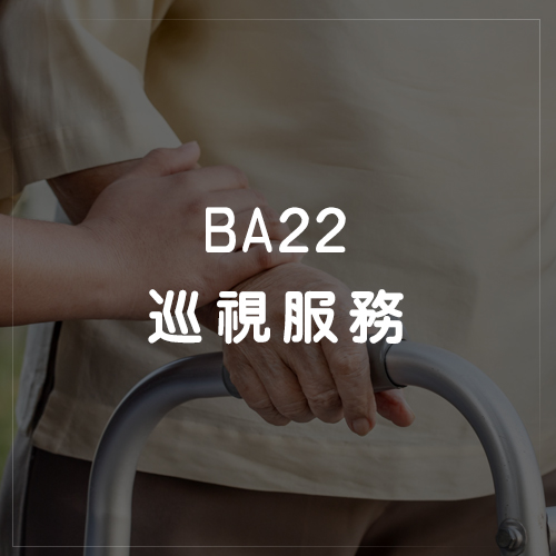 BA22巡視服務