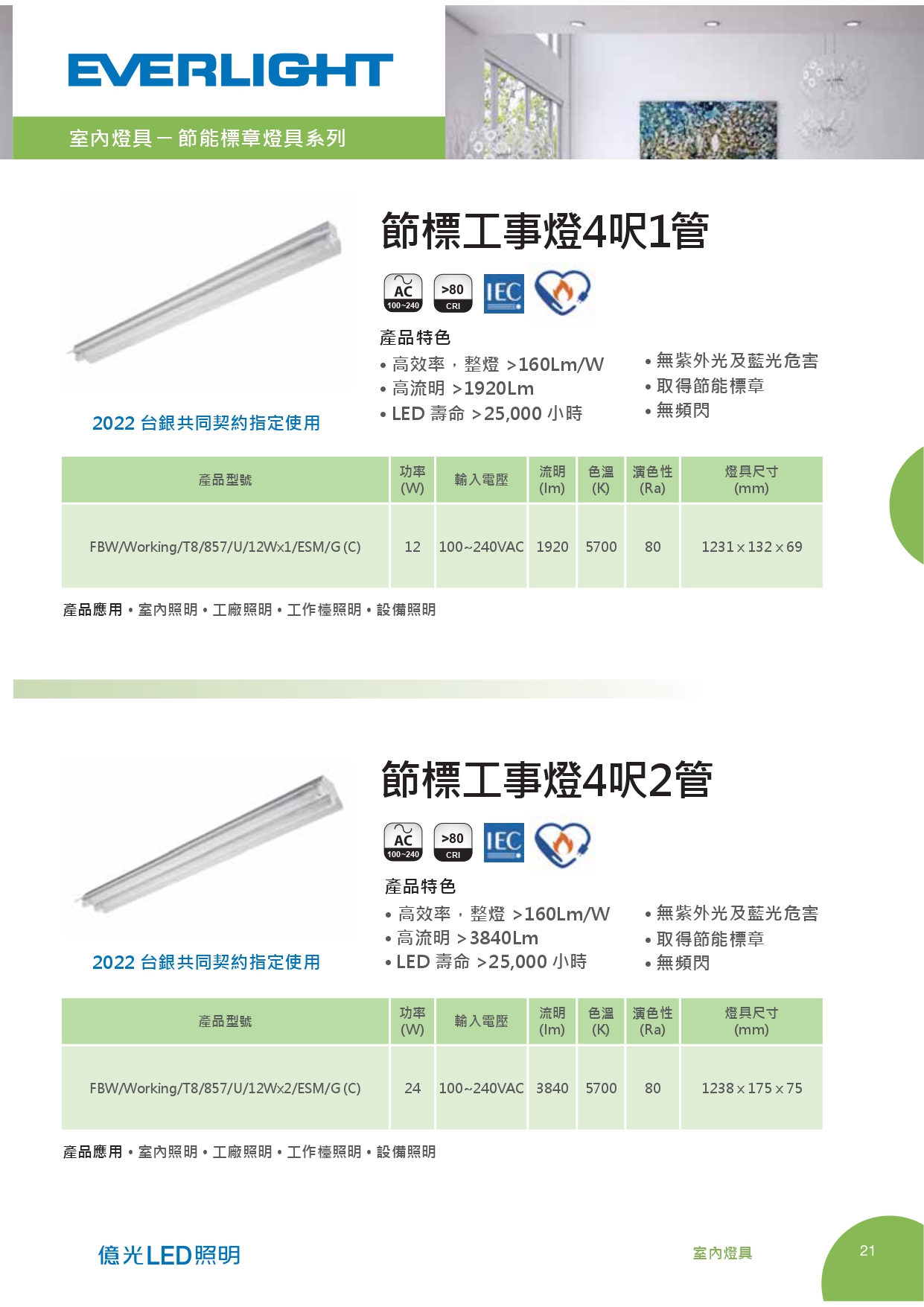 億光LED照明目錄_0029