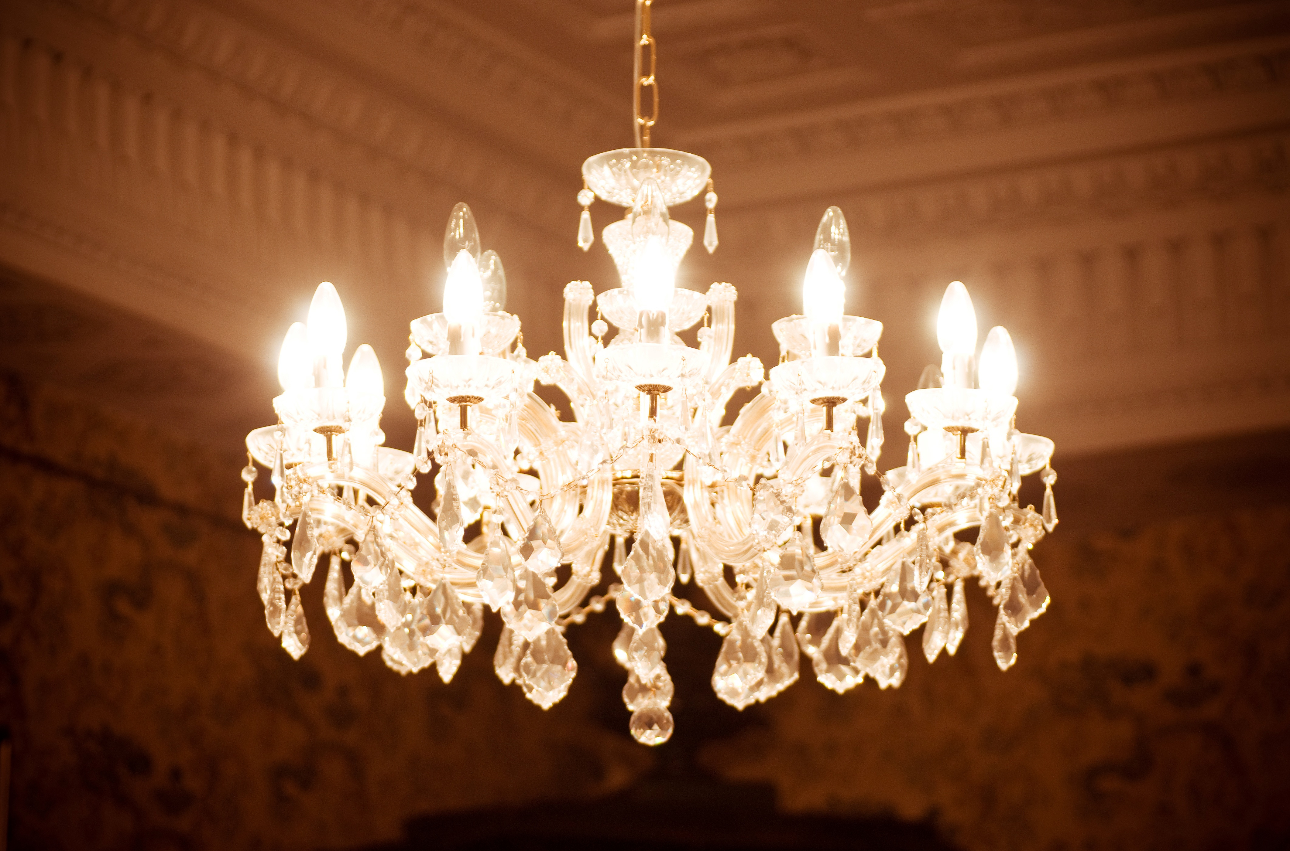 17508391_l_normal_none