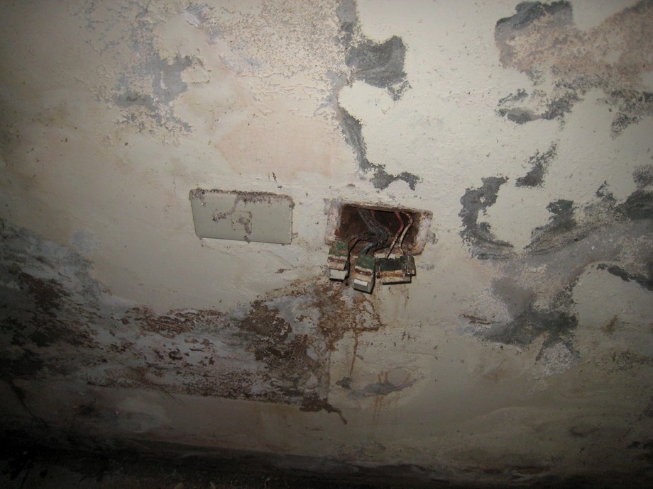 慘遭白蟻攻擊-私宅