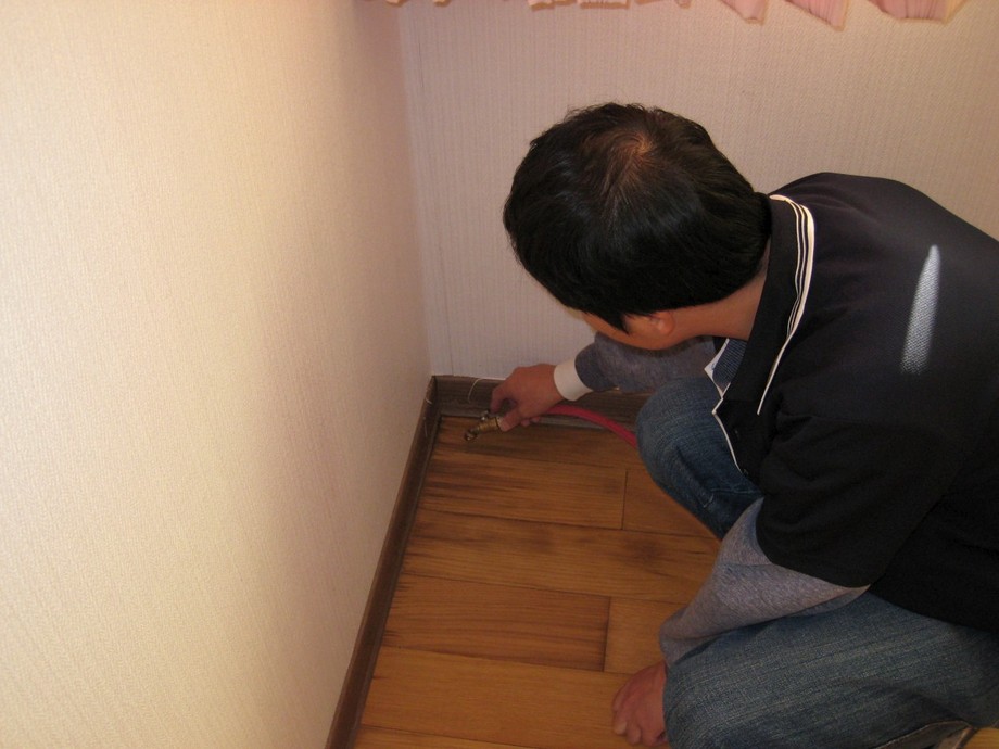 實木地板白蟻防治