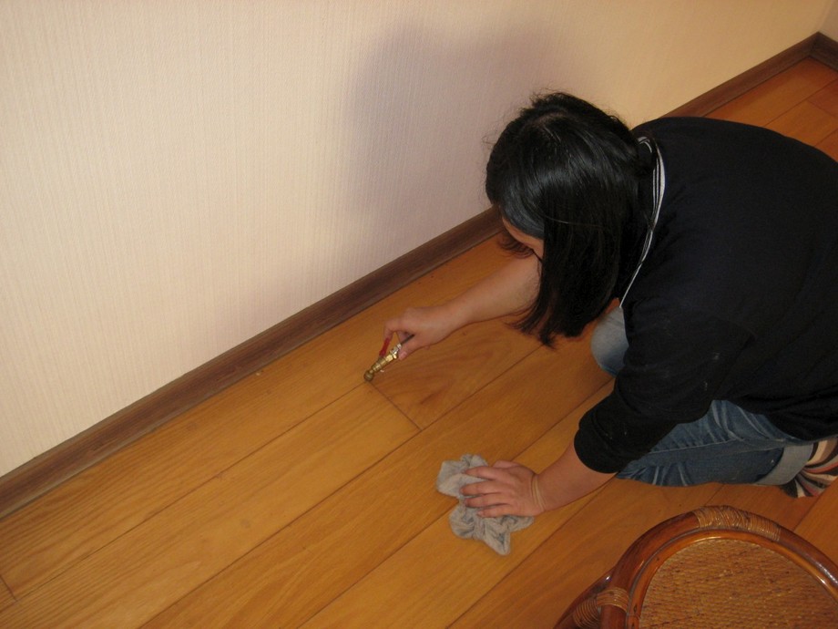 實木地板白蟻防治