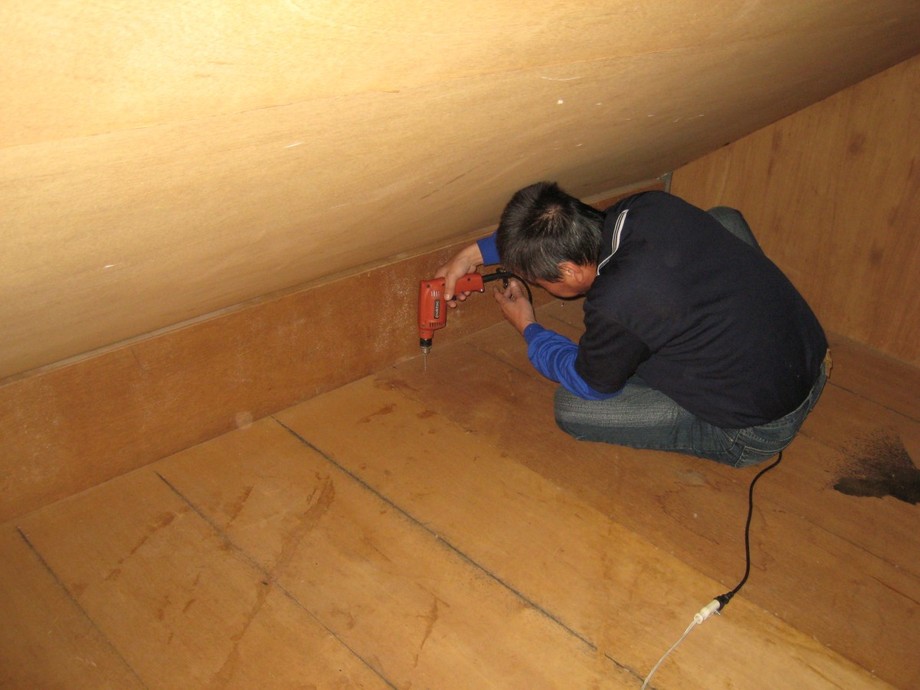 實木地板白蟻防治