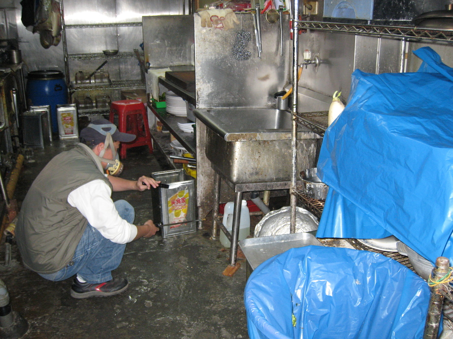 餐廳蟑螂防治
