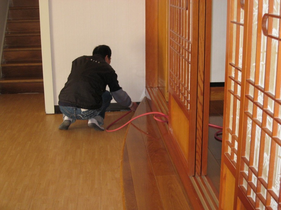 實木地板白蟻防治