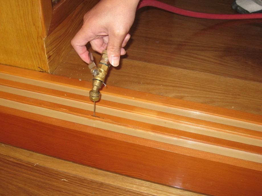 實木地板白蟻防治