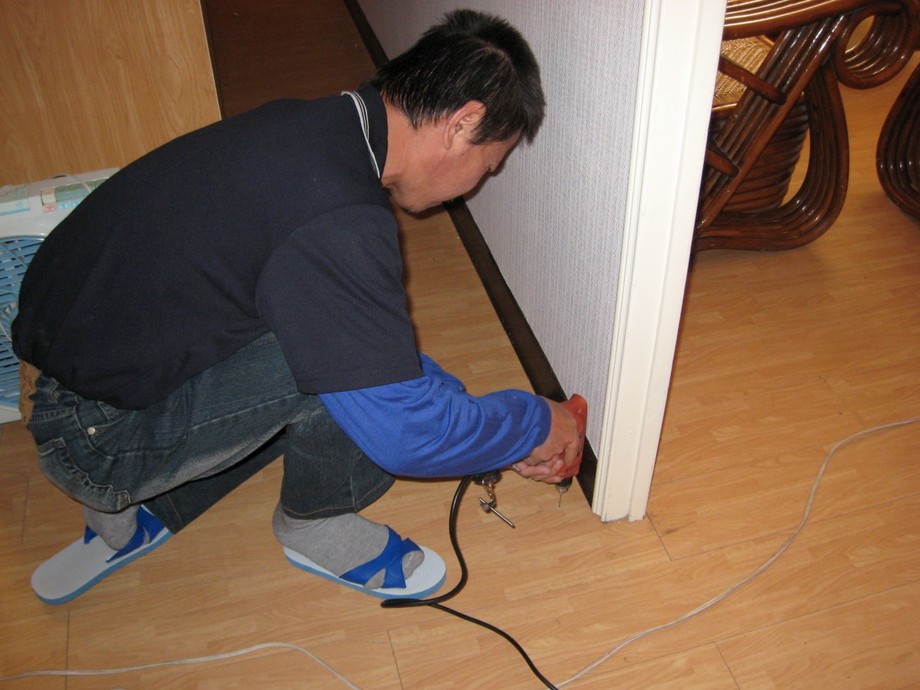 實木地板白蟻防治