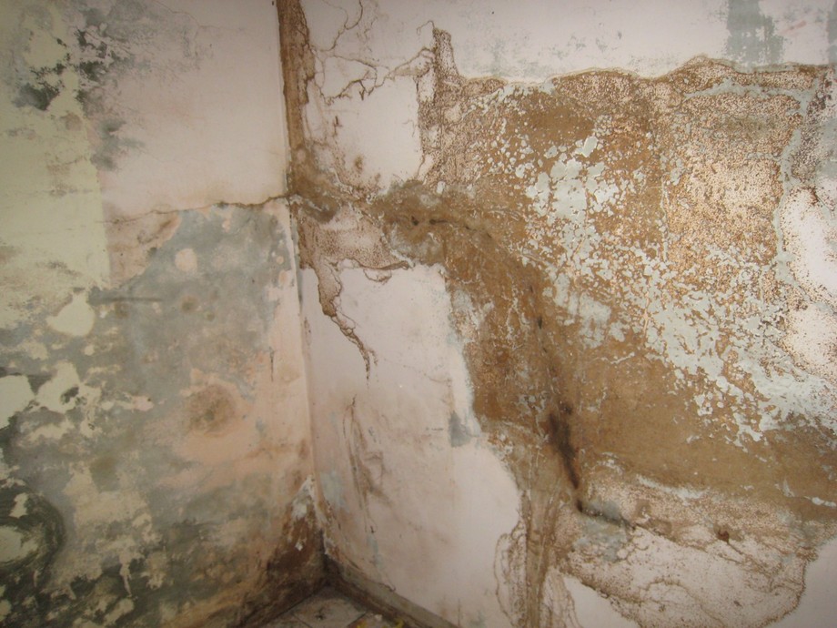 遭白蟻侵蝕的裝潢拆除後樣貌