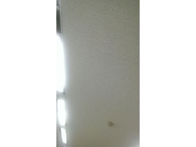 晉揚建材有限公司-undefined